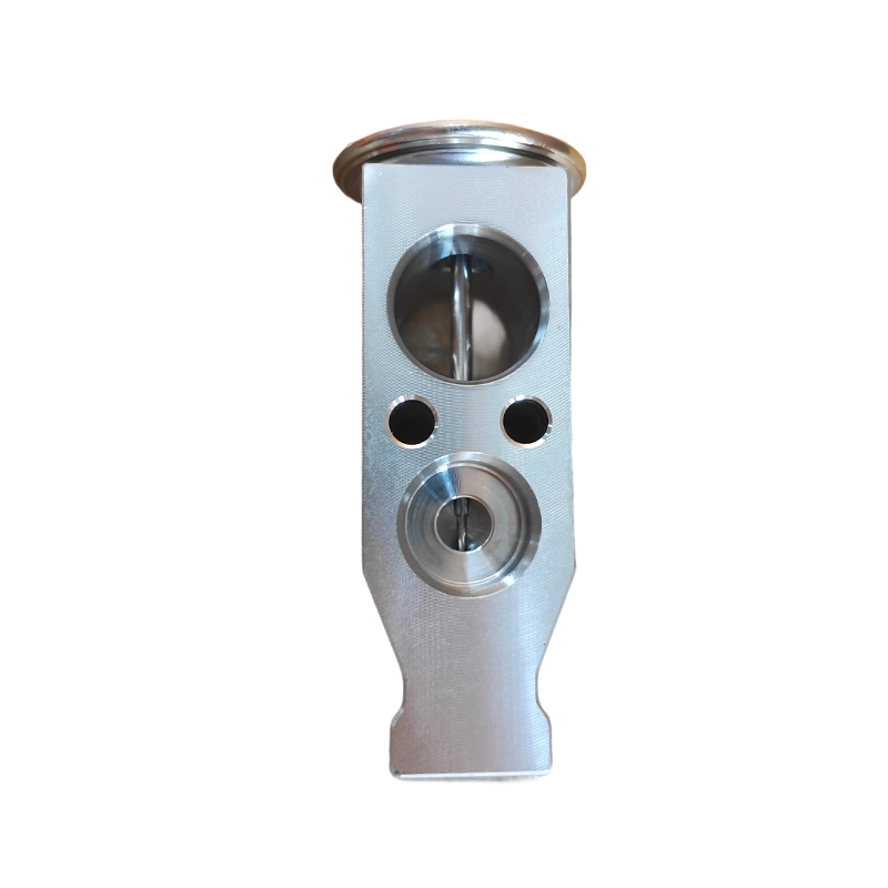 GWM Wingle Haval H3 H5 H6 အတွက် 8106000A-P00 AC Expansion Valve